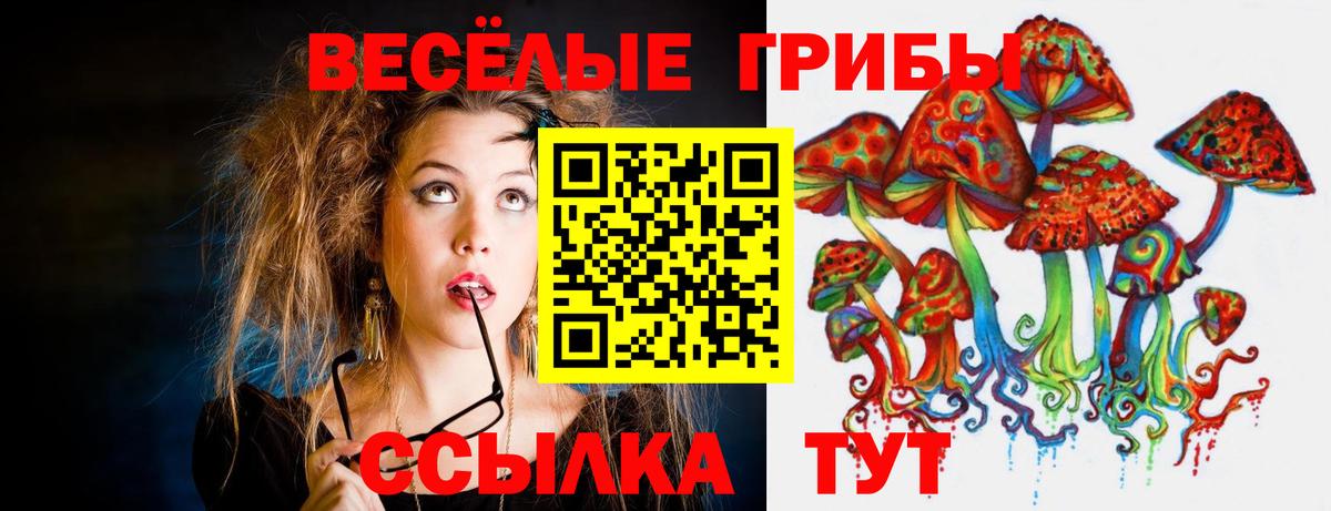 Галлюциногенные грибы GOLDEN TEACHER  Вход с VPN  Малоярославец 